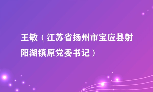 王敏（江苏省扬州市宝应县射阳湖镇原党委书记）