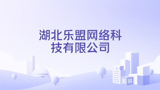 湖北乐盟网络科技有限公司