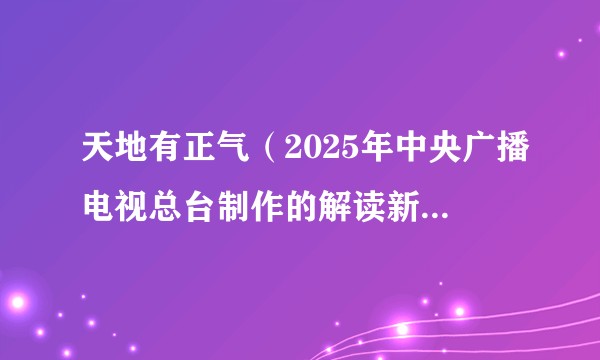 天地有正气（2025年中央广播电视总台制作的解读新时代廉洁文化的十集大型系列节目）