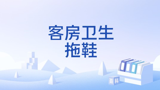 客房卫生拖鞋