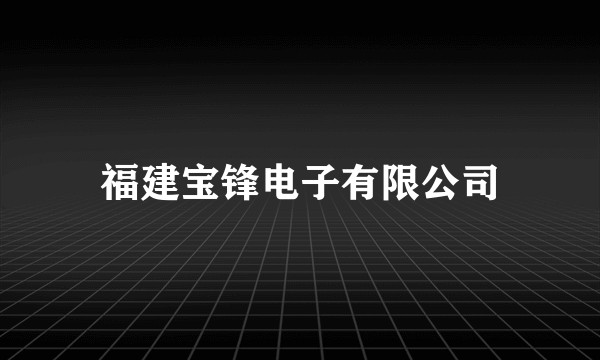 福建宝锋电子有限公司