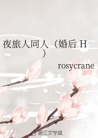 夜旅人同人（婚后 H ）