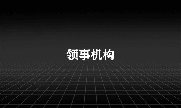 领事机构