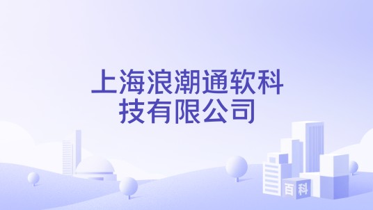 上海浪潮通软科技有限公司