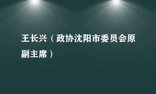 王长兴（政协沈阳市委员会原副主席）