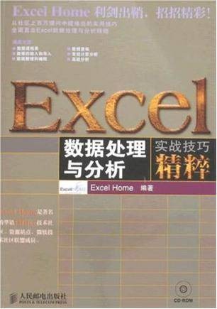 Excel数据处理与分析实战技巧精粹