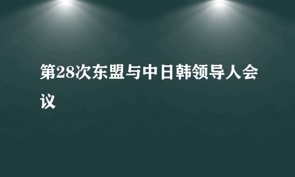 第28次东盟与中日韩领导人会议