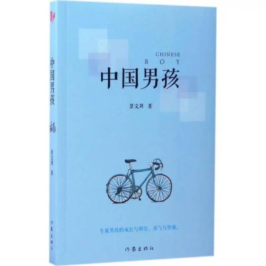 中国男孩（2017年作家出版社出版的图书）