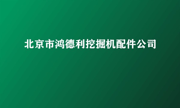 北京市鸿德利挖掘机配件公司