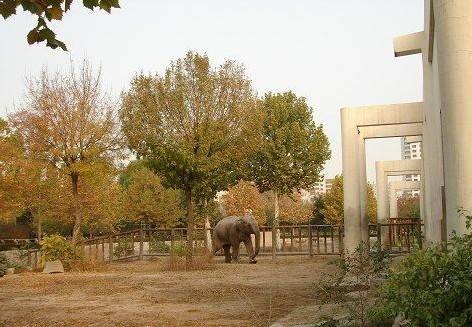北京动物园大象馆