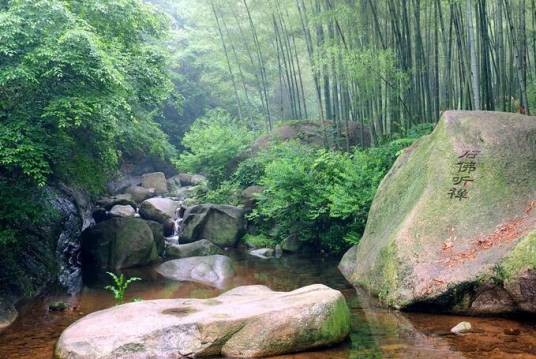龙井风景区