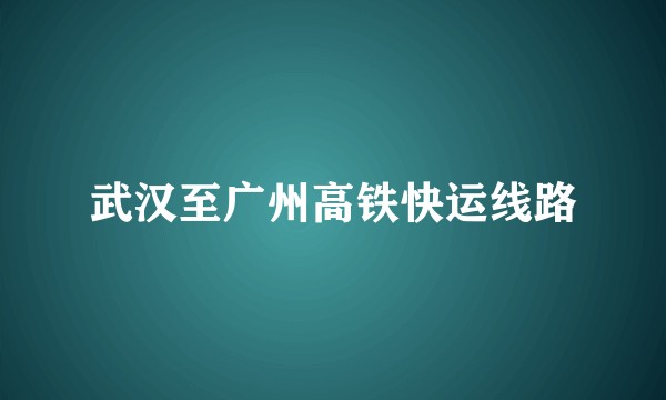 武汉至广州高铁快运线路