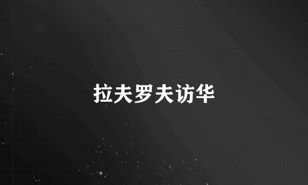 拉夫罗夫访华