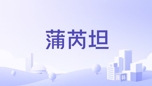 蒲芮坦