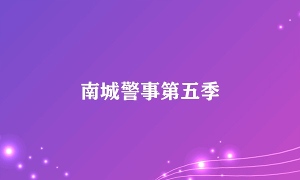 南城警事第五季