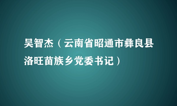 吴智杰（云南省昭通市彝良县洛旺苗族乡党委书记）