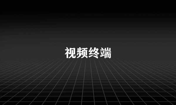 视频终端