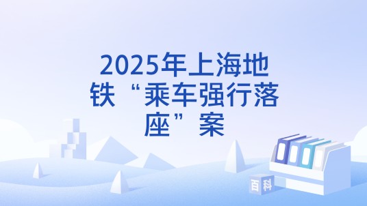 2025年上海地铁“乘车强行落座”案