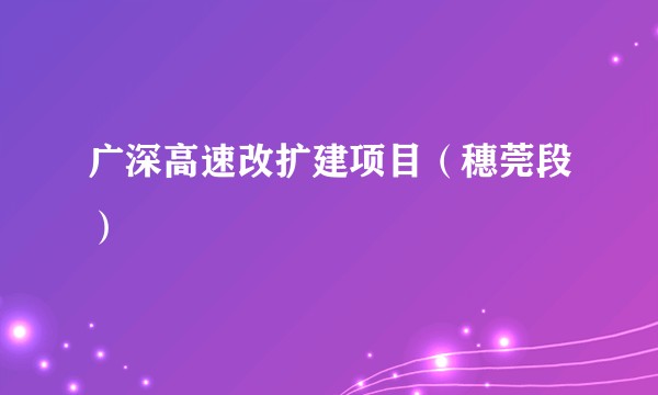 广深高速改扩建项目（穗莞段）