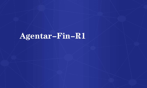 Agentar-Fin-R1