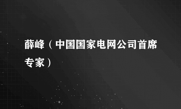 薛峰（中国国家电网公司首席专家）