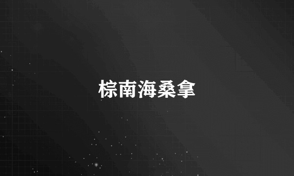 棕南海桑拿