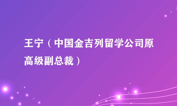 王宁（中国金吉列留学公司原高级副总裁）