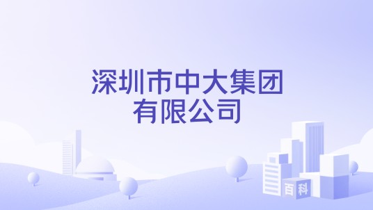 深圳市中大集团有限公司