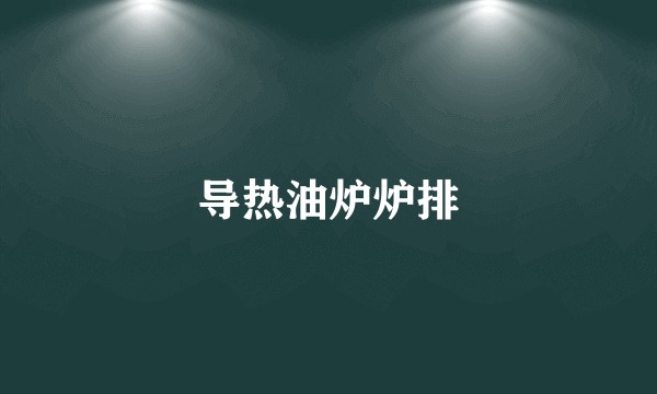 导热油炉炉排