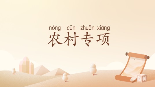 农村专项