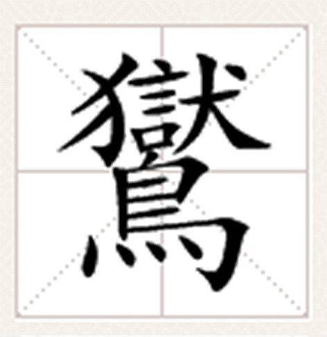 鸑