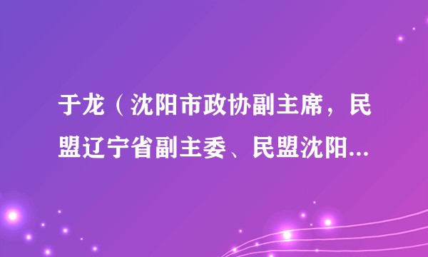 于龙（沈阳市政协副主席，民盟辽宁省副主委、民盟沈阳市委会主委）
