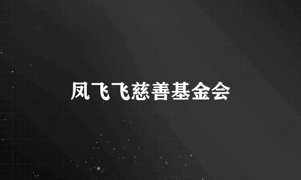 凤飞飞慈善基金会