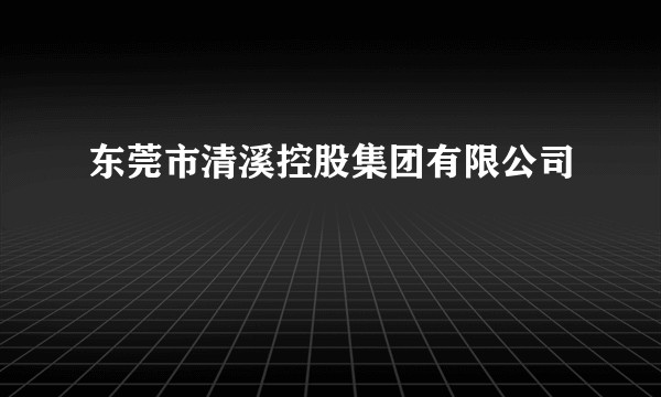 东莞市清溪控股集团有限公司