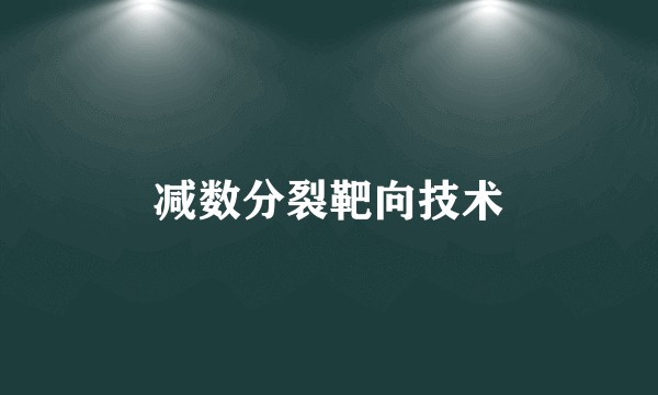 减数分裂靶向技术