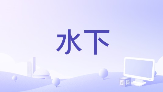水下（由路易莎·卡拉吉安、罗萨·卡尔代拉执导的电影作品）