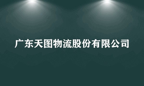 广东天图物流股份有限公司