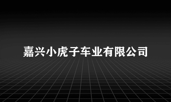 嘉兴小虎子车业有限公司