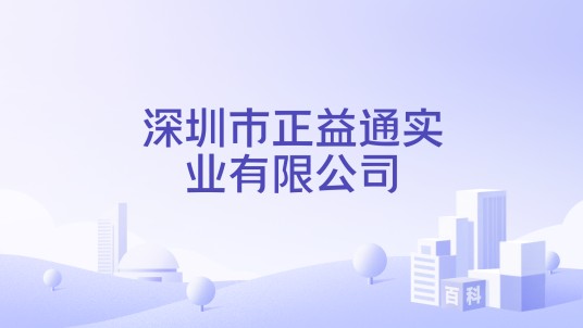 深圳市正益通实业有限公司