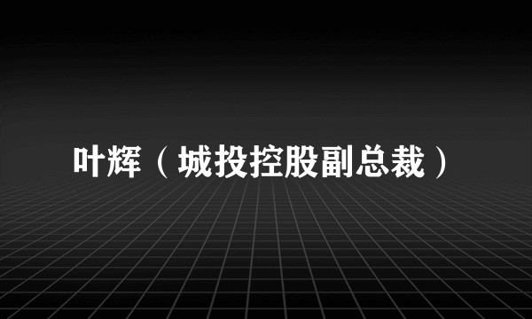 叶辉（城投控股副总裁）