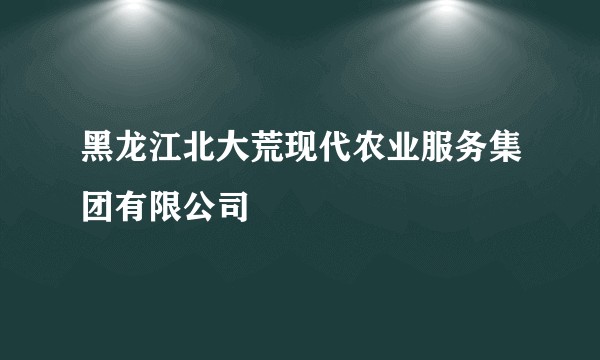 黑龙江北大荒现代农业服务集团有限公司