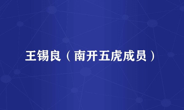 王锡良（南开五虎成员）