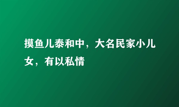 摸鱼儿泰和中，大名民家小儿女，有以私情