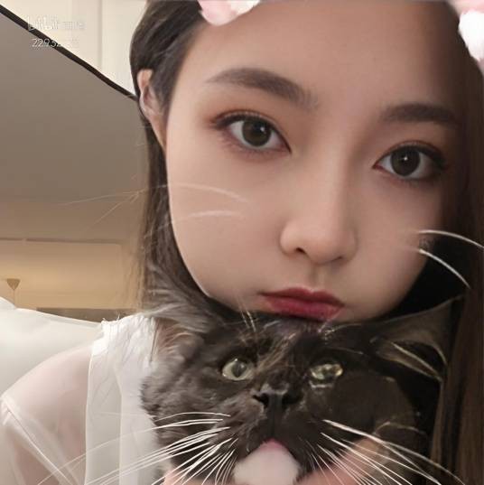 一只小熊猫Panda