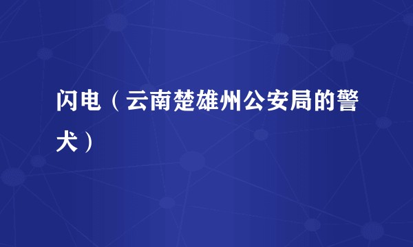 闪电(云南楚雄州公安局的警犬)