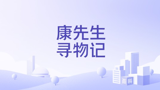 康先生寻物记