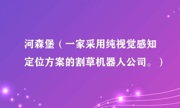河森堡(一家采用纯视觉感知定位方案的割草机器人公司。)