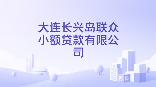 大连长兴岛联众小额贷款有限公司
