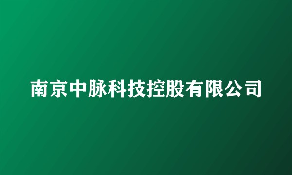 南京中脉科技控股有限公司