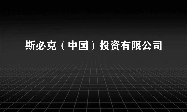斯必克（中国）投资有限公司